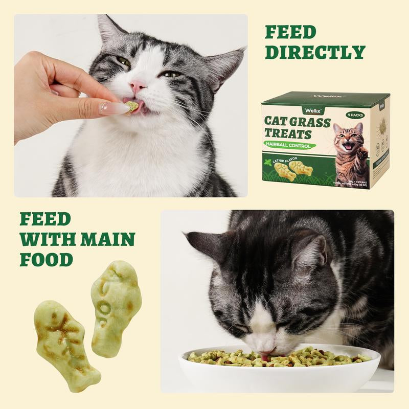 450G/16Oz Cat Grass Treats,Crunchy Cat Treats 9 Packs (50G Each),Natural Cat Grass Sticks &Cat Grass Teeth Cleaning Treats for Cat Training Rewards