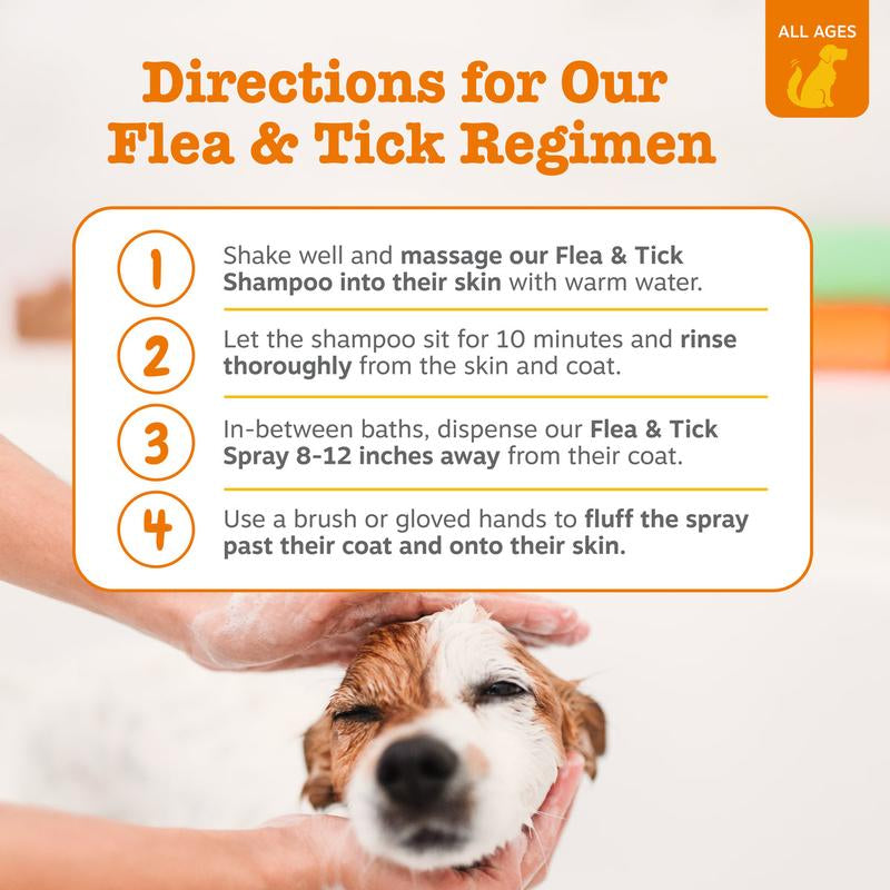 Zesty Paws Flea & Tick Veterinary Formulated Soothing Deodorizing Shampoo for Dogs, 16-Fl Oz Bottle