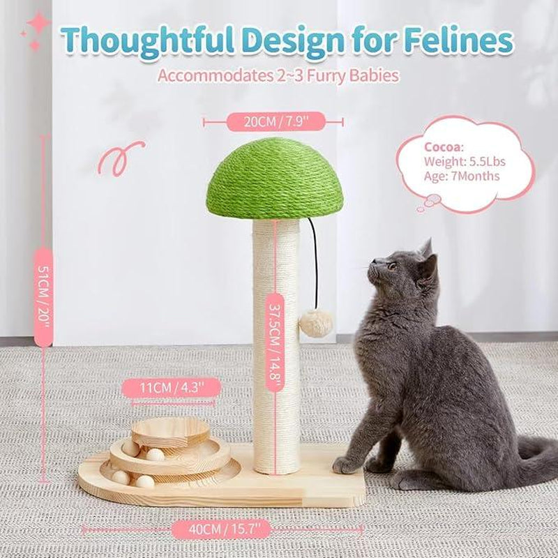 Made4Pets Cat Scratching Post, Mushroom Cat Scratcher with Sisal Ropes, Interactive Track Ball Toy, 2-In-1 Wood Scratch Cattree