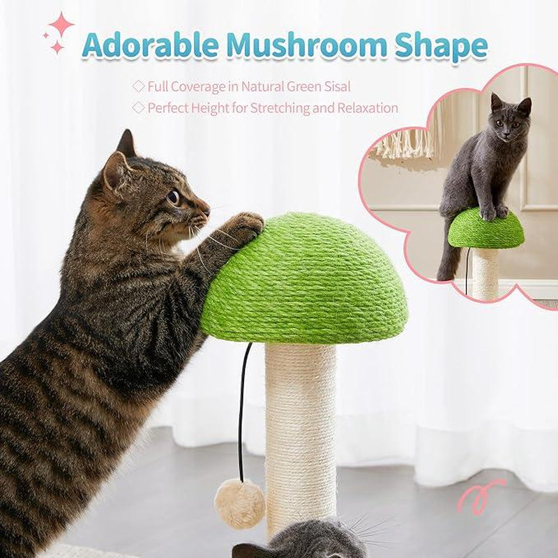 Made4Pets Cat Scratching Post, Mushroom Cat Scratcher with Sisal Ropes, Interactive Track Ball Toy, 2-In-1 Wood Scratch Cattree