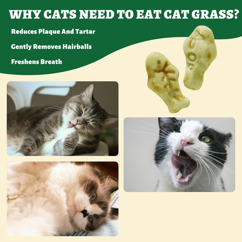 450G/16Oz Cat Grass Treats,Crunchy Cat Treats 9 Packs (50G Each),Natural Cat Grass Sticks &Cat Grass Teeth Cleaning Treats for Cat Training Rewards