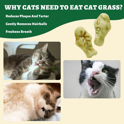 450G/16Oz Cat Grass Treats,Crunchy Cat Treats 9 Packs (50G Each),Natural Cat Grass Sticks &Cat Grass Teeth Cleaning Treats for Cat Training Rewards