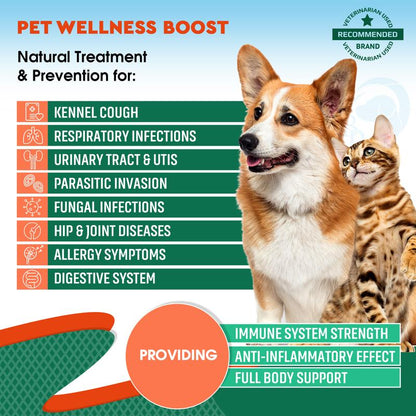 Natural Herbal Kennel Cough Relief & Urinary Tract Support for Cats and Dogs