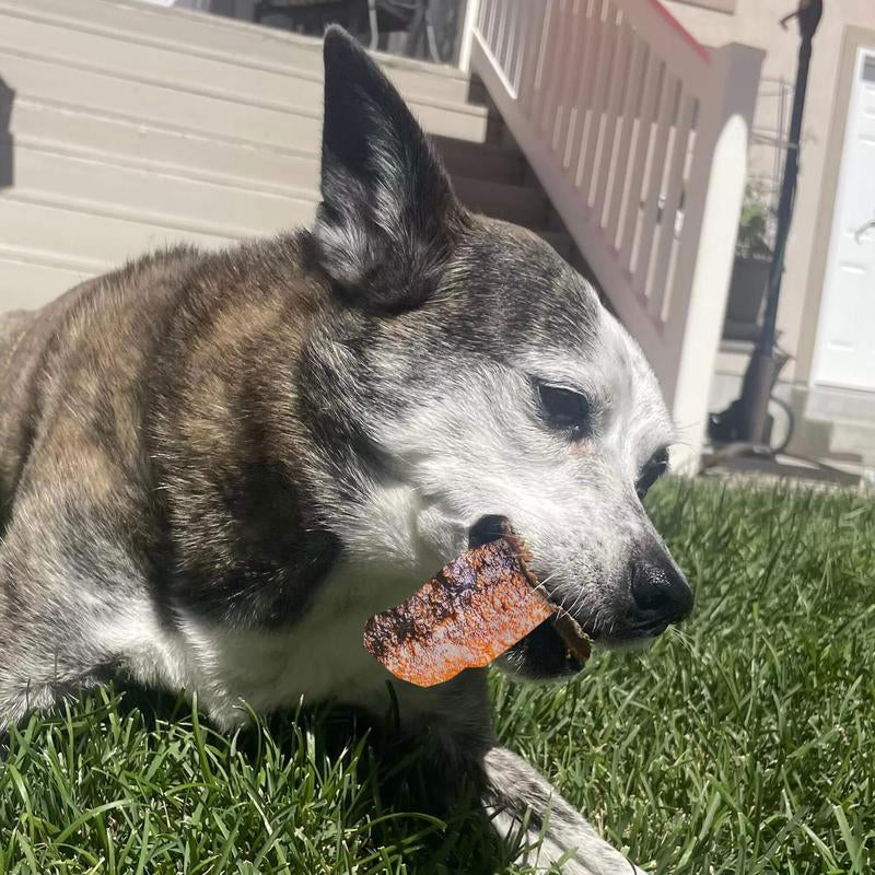 Crunchy Salmon Jerky Treats