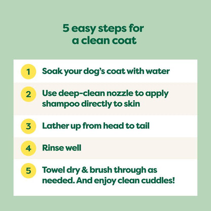 Earth Rated 3-In-1 Curly & Wavy Coated Dog & Puppy Shampoo, Conditioner & Deodorizer - 16 Oz - Formulated to Tackle Tangles & Restore Curls