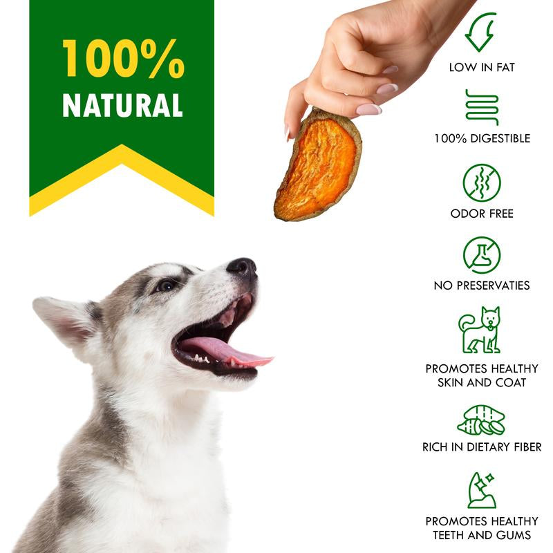 Sweet Potato Dog Treats Chips - All Natural Pet Snack Chews Training