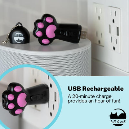 USB Rechargeable Cat Laser Pointer for Laser Toy and Toy for Cats Pet Gift