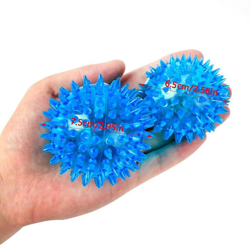Squeaky Dog Toy Ball, 5 Counts/Set Colorful Dog Chew Toy Ball, Interactive Dog Toy Ball, Pet Chew Toy Ball, Indoor and Outdoor Fun Toy Ball for Dogs, Christmas Gift