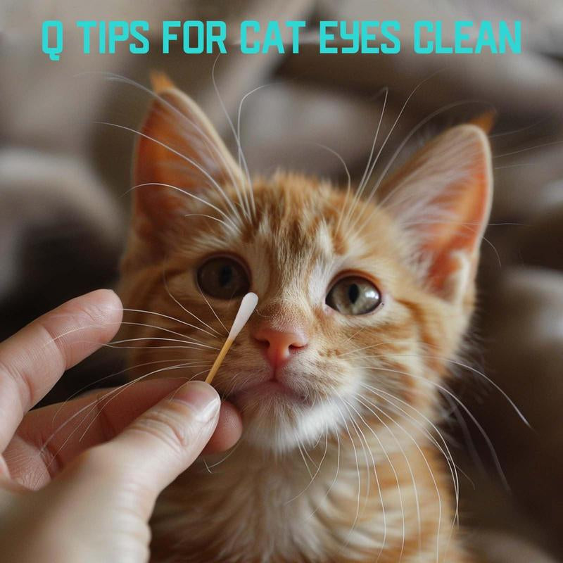 Eco-Friendly Bamboo Cotton Swabs for Cats & Daily Beauty Care – 200 Biodegradable Q Tips with Holder Daily Gentle Dog Ear Extra Large Natural Dog Large Wooden