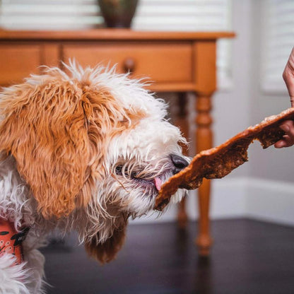 Crunchy Salmon Jerky Treats